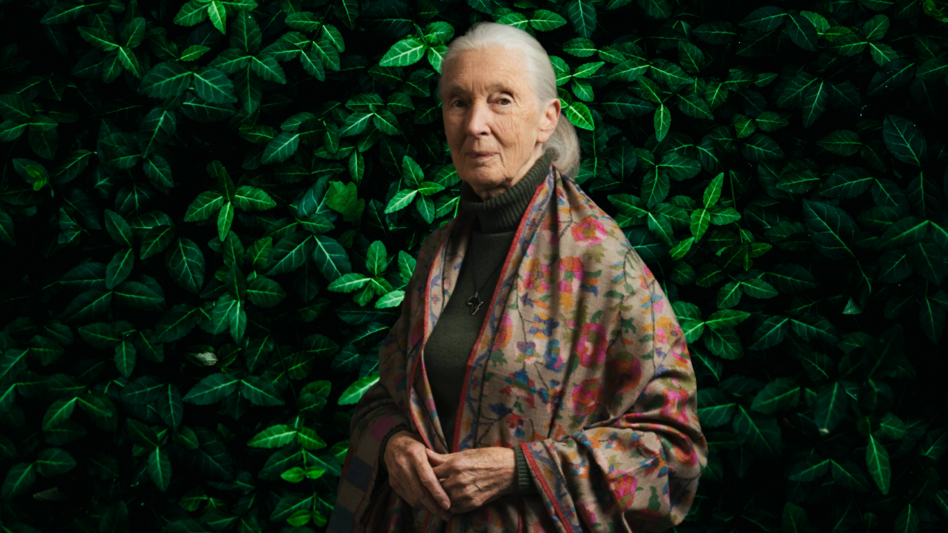 Jane goodall instituut - overlijden jane goodall